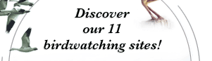 Discover our 11 birdwatching sites!
