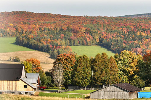 Dixville